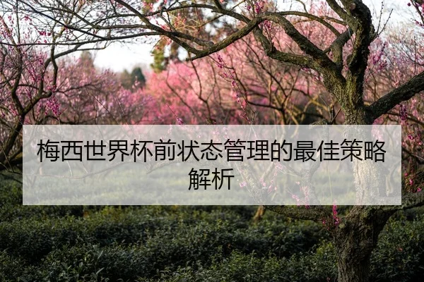 梅西世界杯前状态管理的最佳策略解析